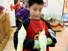 -三亚亚龙湾人间天堂鸟巢度假村
