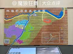 -汤旺河林海奇石景区