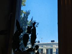 景观位-老都一处饺子馆(道里店)