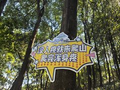 -广州市帽峰山景区