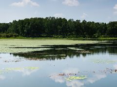 -塞罕坝国家级自然保护区