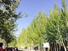 -敦煌古城