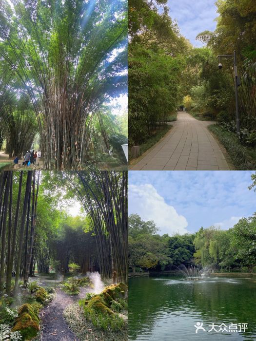 天府芙蓉园图片