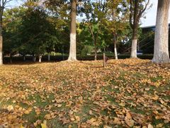 -白塘生态植物园