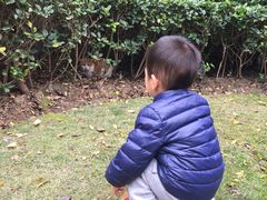 -胜华驾校·小猫学车(银都店)