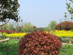-嬉乐湾休闲旅游区