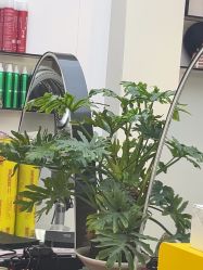 -吉艺心专业美发造型