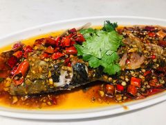 -杨氏青龙虾·羊蝎子(金盛路总店)