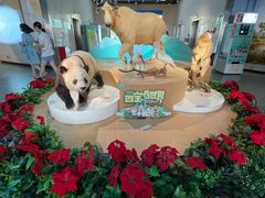 -陕西自然博物馆