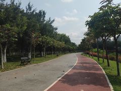 -万绿园