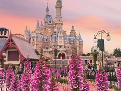 -上海迪士尼度假区