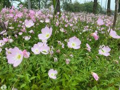 -雀蓝川菜(星悦汇店)
