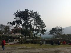 -铁山坪森林公园