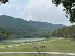 -风云岭森林公园