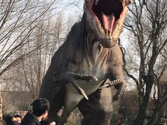 -南通洲际绿博园