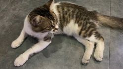 -雅梵伊容·护肤·造型