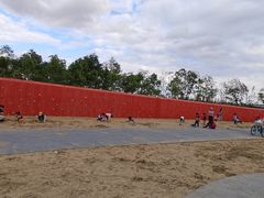 -春花秋色城市公园