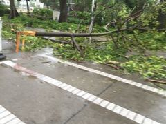 -珠海棕泉水疗酒店(拱北口岸高铁站店)