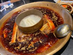 -杨家火锅(国美店)