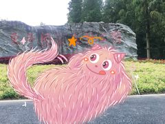 -东平国家森林公园
