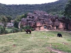 -无锡动物园·太湖欢乐园