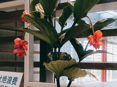 -王家渡火锅店(棕榈泉店)