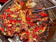 -聚味罗记大排檔·烧烤·鲜鱼杂·甲鱼煲(科学馆店)