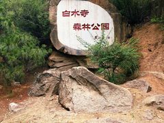 -白水寺森林公园