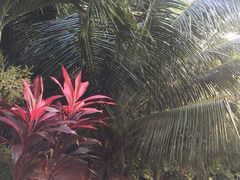 -班达拉奈克国际机场