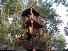 -合肥滨湖国家森林公园