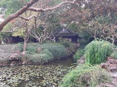 -上海醉白池公园