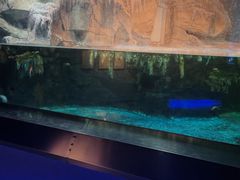 -石家庄海洋公园