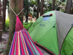 -武陵山森林公园
