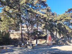 -北京鹫峰国家森林公园