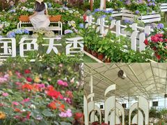 -盈香心动乐园