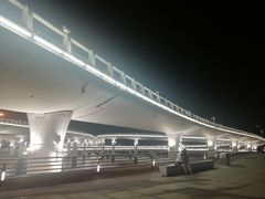 -演武大桥观景平台