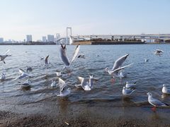 -台场海滨公园船码头