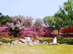 -圆明园遗址公园-藻园门售票处