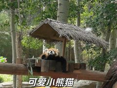 -北京野生动物园