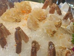 -东海怡品海鲜豆捞(舟宿夜江店)