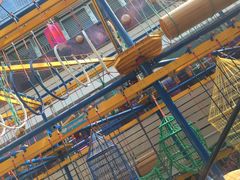 -紫荆广场·花漫里