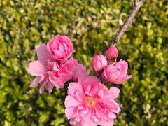 -贮水山儿童公园