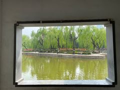 -团结湖公园