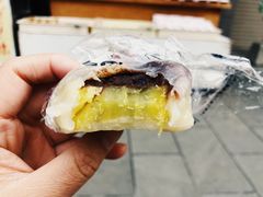 -水前寺成趣园
