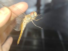 -百联川沙购物中心