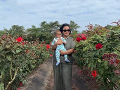 -南湾猴岛+椰田古寨一日游