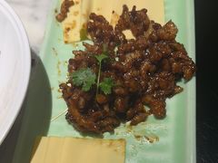 京酱肉丝-北平盛世·新京菜·北京烤鸭(劲松·双井店)