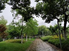 -天鹅湖体育公园