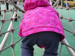 -苏州河梦清园环保主题公园