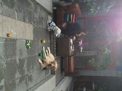 百好乐比萨-百好乐宠物友好餐厅(朝外大街店)